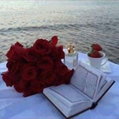 ❤️RASHA REHAN❤️