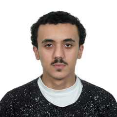 Waleed Rageh