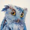 dream.owl