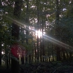 Schattenwelt