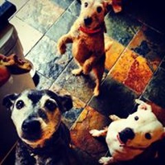 Richard Stewart Mcintosh