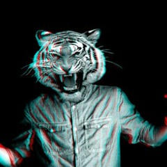 Dj Tiger MX