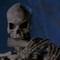 Skeleton Scrub