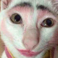 Tien Vu