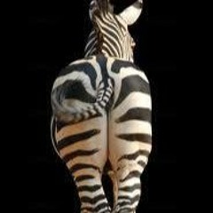 ju_zebra