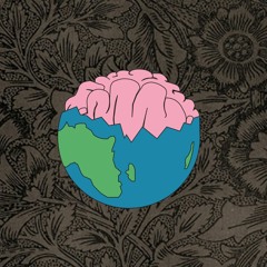 Minds of One Collective Genius