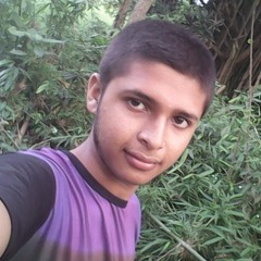 tutul tutul