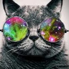 Galaxy_Cat_123