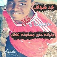 Ahmed Gamr Yassin