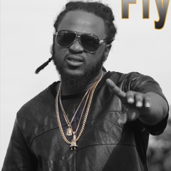 Flyy Guy