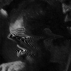 fabrice schwarz
