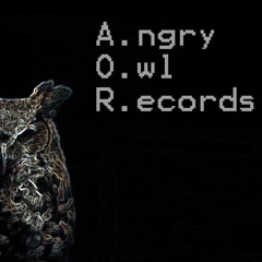 Angry Owl Records