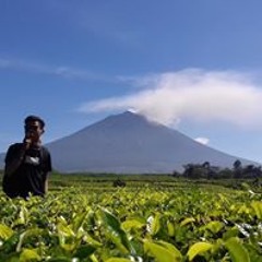 Fahmi.
