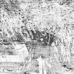 F O G G Y _ M ∆ N E ™