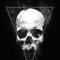 Blvck Skulls Crew