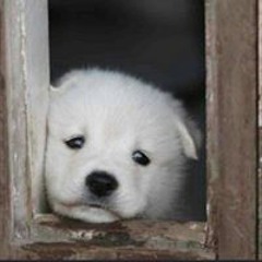 허정수