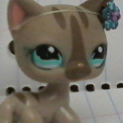 Lps Kitty Cat Productions