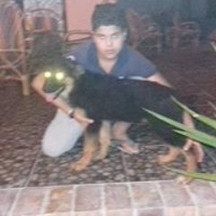 mohamed