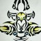 Paladin T