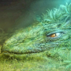 gorbashreduk
