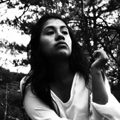 Sajama-Lima