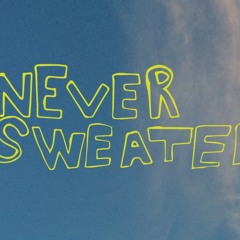 neversweater
