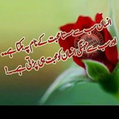 Summan Anwar