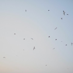 Pinsirin Sittichai