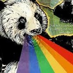 panda rainbow #2