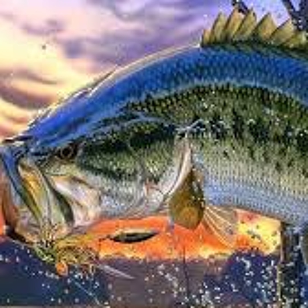 Stream Lake life Fishing music | Listen to songs, albums, playlists for ...