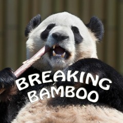 breakingbamboo