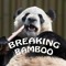 breakingbamboo