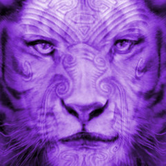 PurpleLionAu