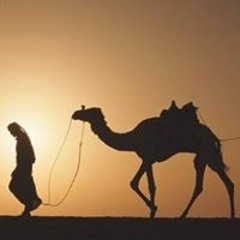 Ramadan Abd Alrahman