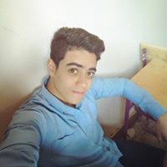 Karim Eltemamy