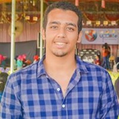 Walid S. Al-Abassy