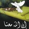 مروان غريب