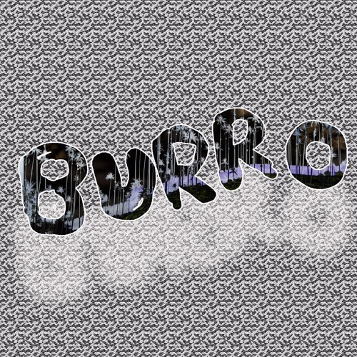 Burro’s avatar