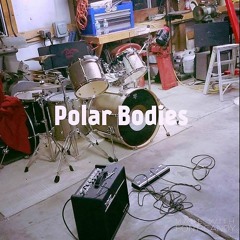 Polar Bodies