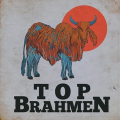 Top Brahmen