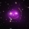Space Shruggie