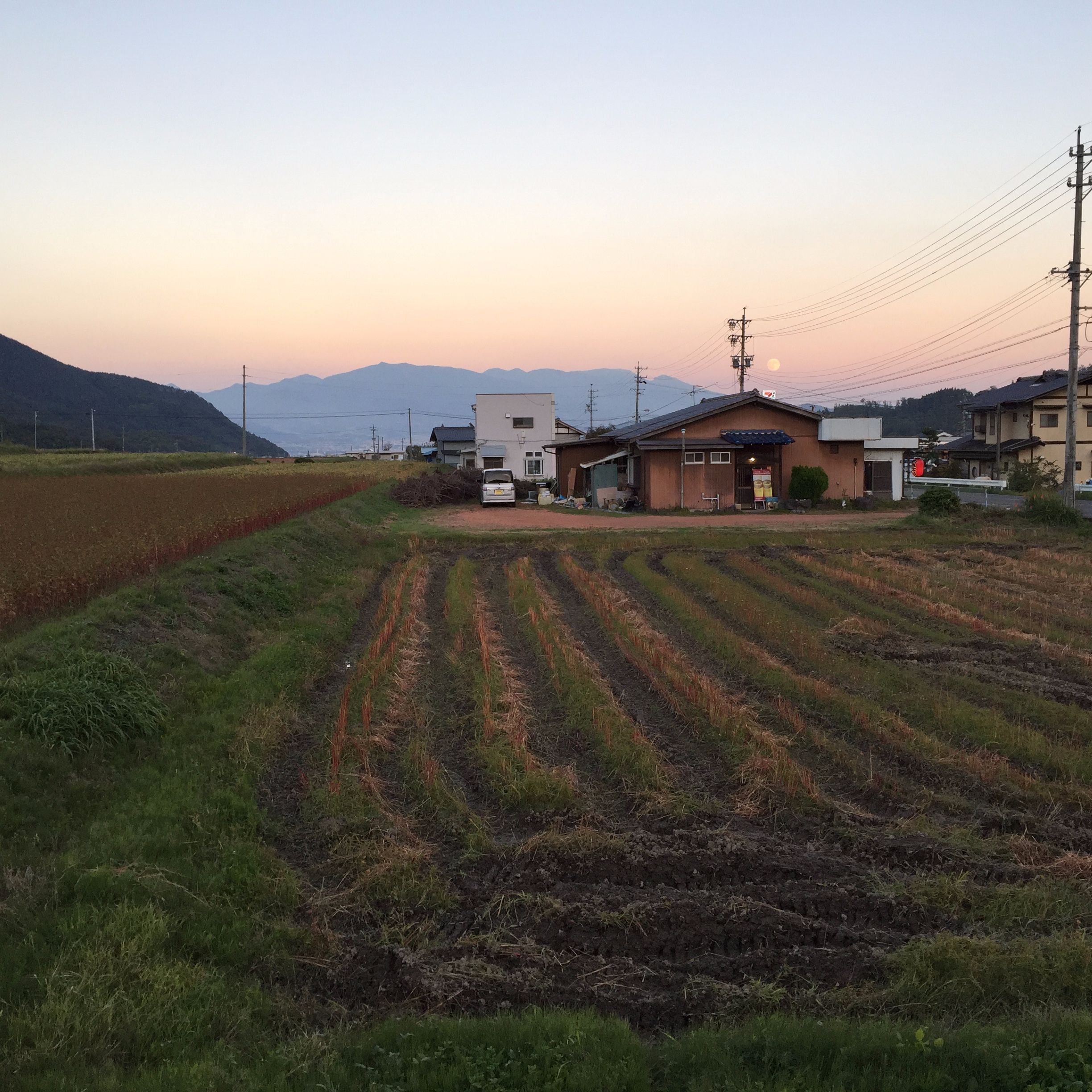 Stories from Japan