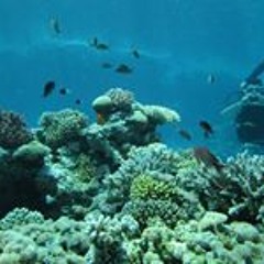 Mòhámêď Aĺî AlGais