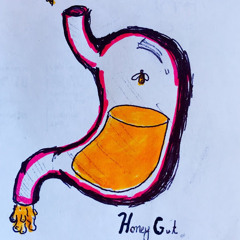 Honey Gut