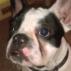 Omar