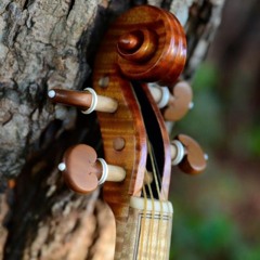 Jonathan Emanuel Campoya