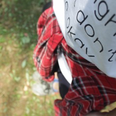 gogobean