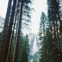 POM - Peace There Mix - 11 - 2016