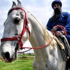 Daman Singh