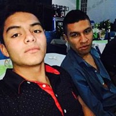 Compa Pollo